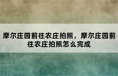 摩尔庄园前往农庄拍照，摩尔庄园前往农庄拍照怎么完成