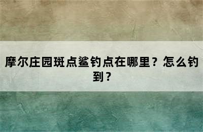 摩尔庄园斑点鲨钓点在哪里？怎么钓到？