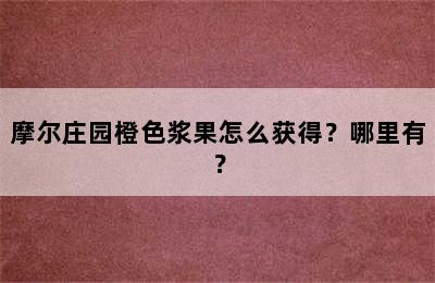 摩尔庄园橙色浆果怎么获得？哪里有？