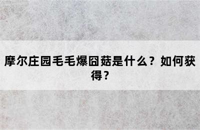 摩尔庄园毛毛爆囧菇是什么？如何获得？