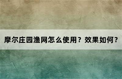 摩尔庄园渔网怎么使用？效果如何？