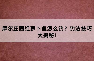 摩尔庄园红萝卜鱼怎么钓？钓法技巧大揭秘！