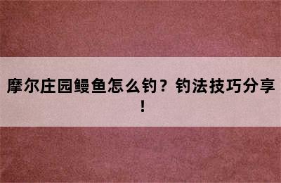 摩尔庄园鳗鱼怎么钓？钓法技巧分享！