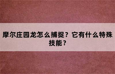 摩尔庄园龙怎么捕捉？它有什么特殊技能？