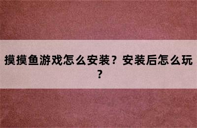 摸摸鱼游戏怎么安装？安装后怎么玩？