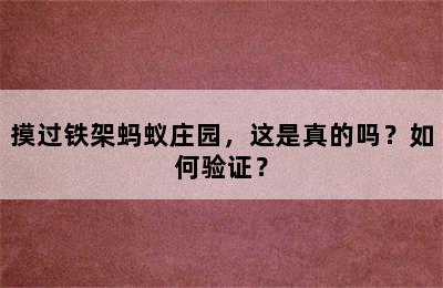 摸过铁架蚂蚁庄园，这是真的吗？如何验证？