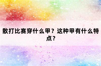 散打比赛穿什么甲？这种甲有什么特点？