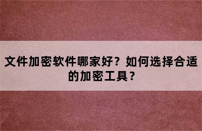 文件加密软件哪家好？如何选择合适的加密工具？