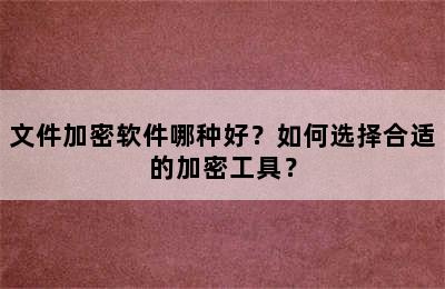 文件加密软件哪种好？如何选择合适的加密工具？