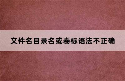 文件名目录名或卷标语法不正确