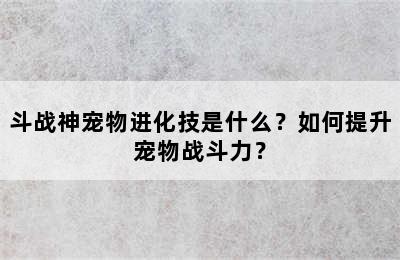 斗战神宠物进化技是什么？如何提升宠物战斗力？