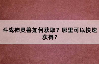 斗战神灵兽如何获取？哪里可以快速获得？