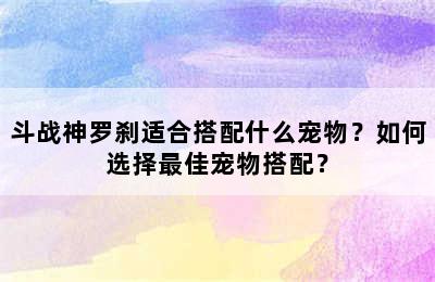 斗战神罗刹适合搭配什么宠物？如何选择最佳宠物搭配？