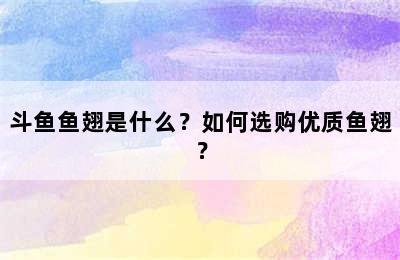 斗鱼鱼翅是什么？如何选购优质鱼翅？