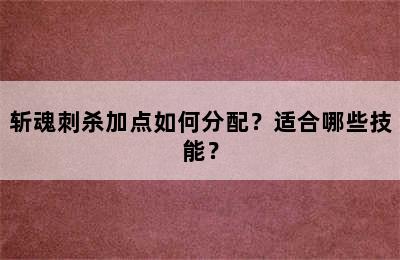 斩魂刺杀加点如何分配？适合哪些技能？