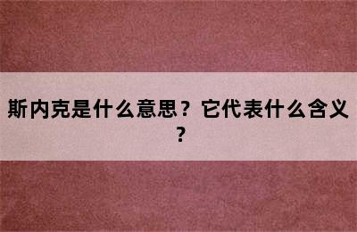 斯内克是什么意思？它代表什么含义？