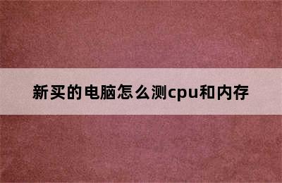 新买的电脑怎么测cpu和内存