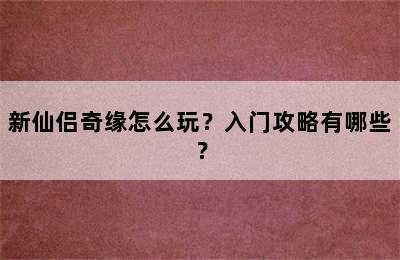 新仙侣奇缘怎么玩？入门攻略有哪些？