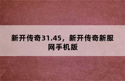 新开传奇31.45，新开传奇新服网手机版