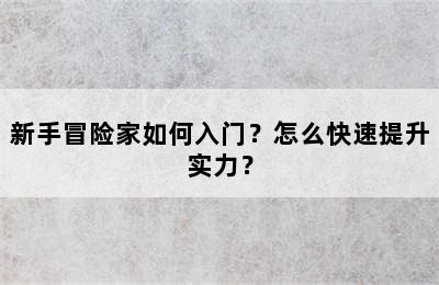 新手冒险家如何入门？怎么快速提升实力？