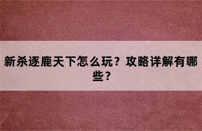 新杀逐鹿天下怎么玩？攻略详解有哪些？