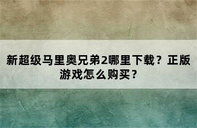 新超级马里奥兄弟2哪里下载？正版游戏怎么购买？