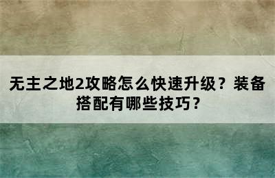 无主之地2攻略怎么快速升级？装备搭配有哪些技巧？