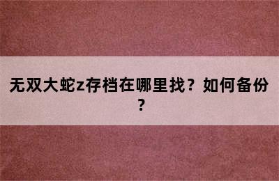 无双大蛇z存档在哪里找？如何备份？