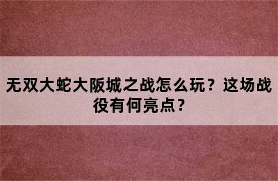 无双大蛇大阪城之战怎么玩？这场战役有何亮点？