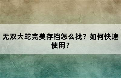 无双大蛇完美存档怎么找？如何快速使用？