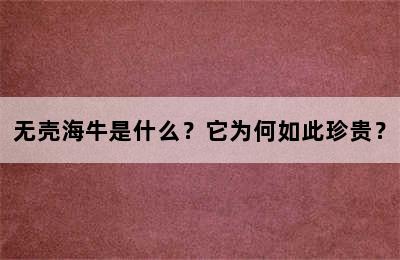 无壳海牛是什么？它为何如此珍贵？