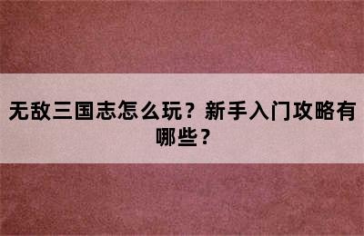 无敌三国志怎么玩？新手入门攻略有哪些？