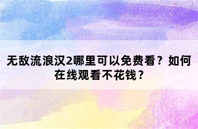 无敌流浪汉2哪里可以免费看？如何在线观看不花钱？