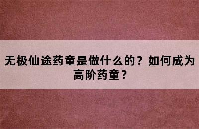 无极仙途药童是做什么的？如何成为高阶药童？