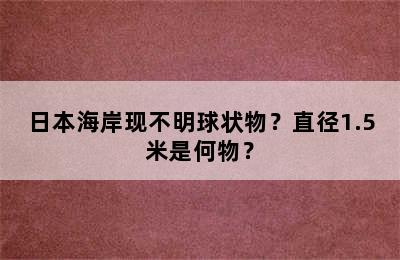 日本海岸现不明球状物？直径1.5米是何物？