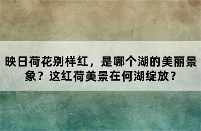 映日荷花别样红，是哪个湖的美丽景象？这红荷美景在何湖绽放？