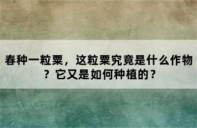 春种一粒粟，这粒粟究竟是什么作物？它又是如何种植的？