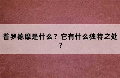 普罗德摩是什么？它有什么独特之处？