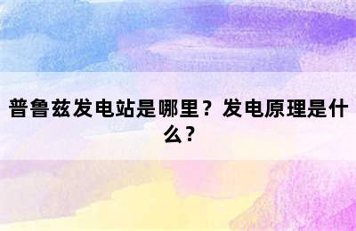 普鲁兹发电站是哪里？发电原理是什么？