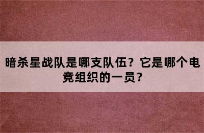 暗杀星战队是哪支队伍？它是哪个电竞组织的一员？