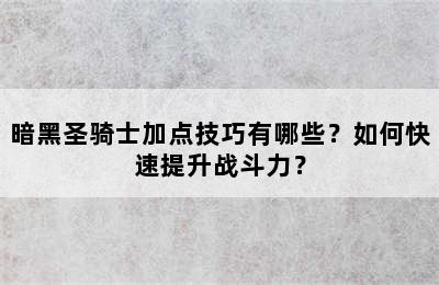 暗黑圣骑士加点技巧有哪些？如何快速提升战斗力？