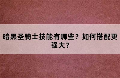 暗黑圣骑士技能有哪些？如何搭配更强大？