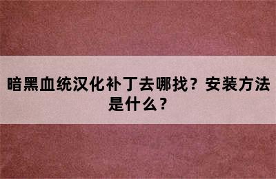 暗黑血统汉化补丁去哪找？安装方法是什么？