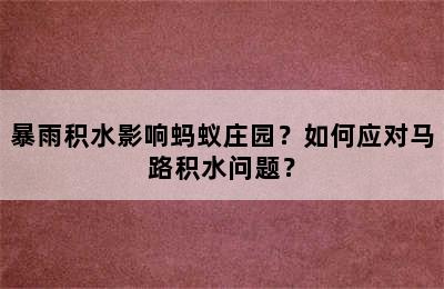 暴雨积水影响蚂蚁庄园？如何应对马路积水问题？