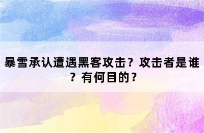 暴雪承认遭遇黑客攻击？攻击者是谁？有何目的？