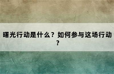 曙光行动是什么？如何参与这场行动？