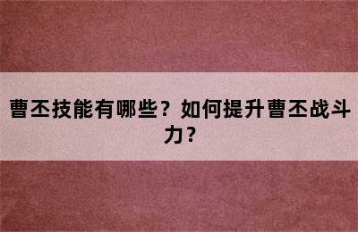 曹丕技能有哪些？如何提升曹丕战斗力？