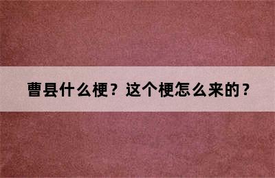 曹县什么梗？这个梗怎么来的？