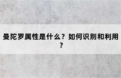 曼陀罗属性是什么？如何识别和利用？