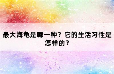 最大海龟是哪一种？它的生活习性是怎样的？